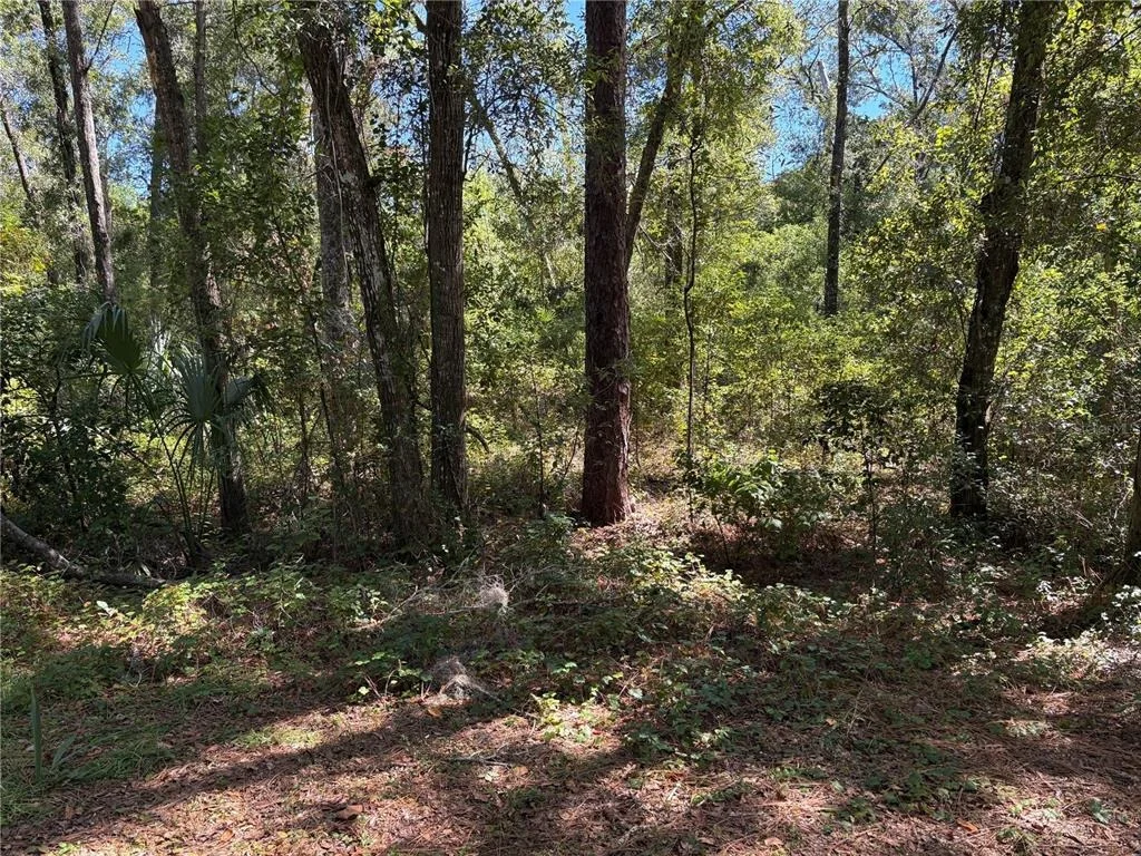 Photo of 1222 CLOVER TERRACE
