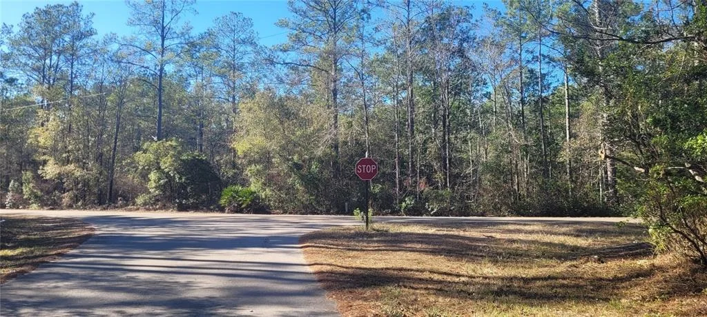 Photo of 0 CHEROKEE DRIVE