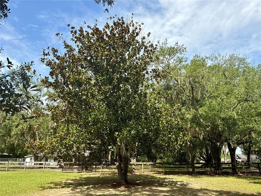 Photo of 11215 RUSSELL DRIVE