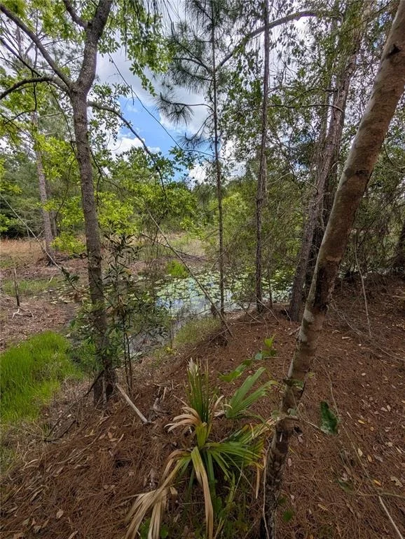 Photo of 38521 ILEX TRAIL