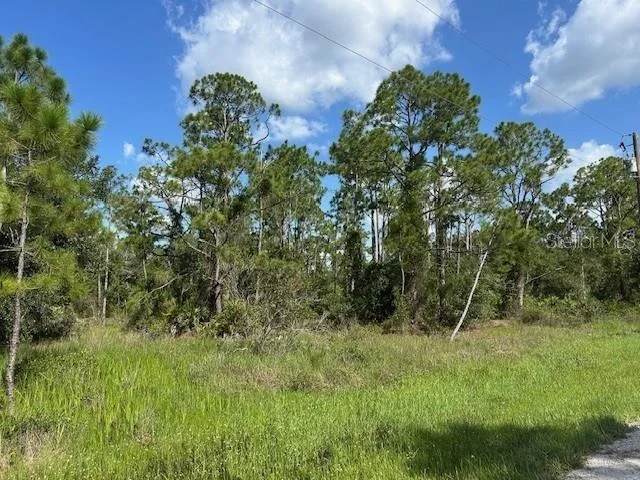 Photo of 13042 APACHE DRIVE