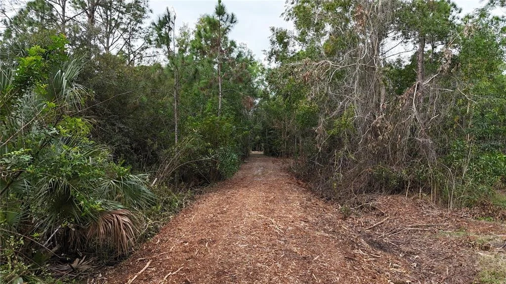 Photo of PANTERA LN