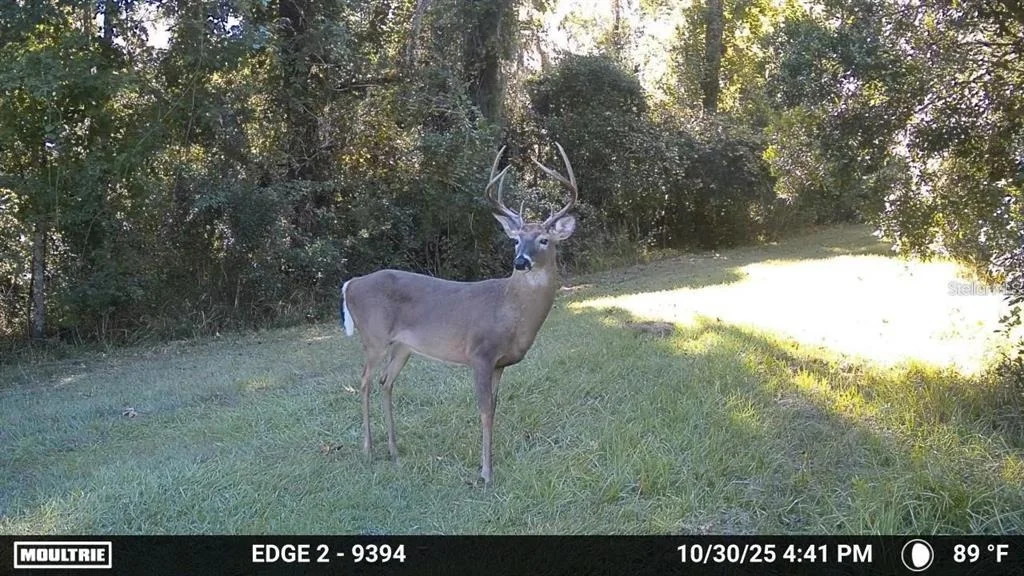 Photo of 11804 SE COUNTY ROAD 234
