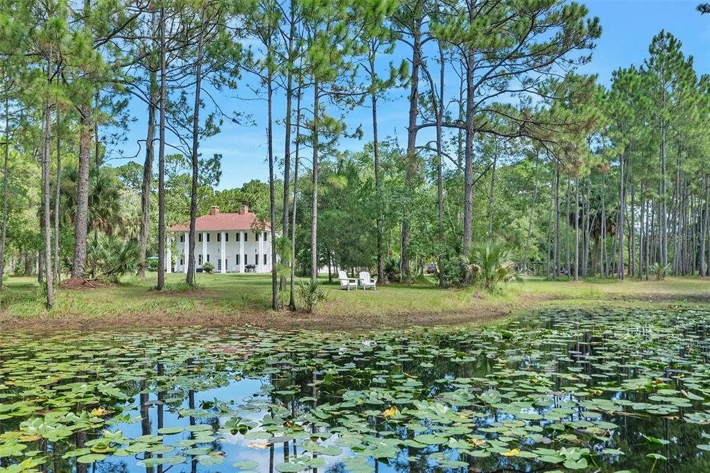 Photo of 45 WINCHESTER ROAD