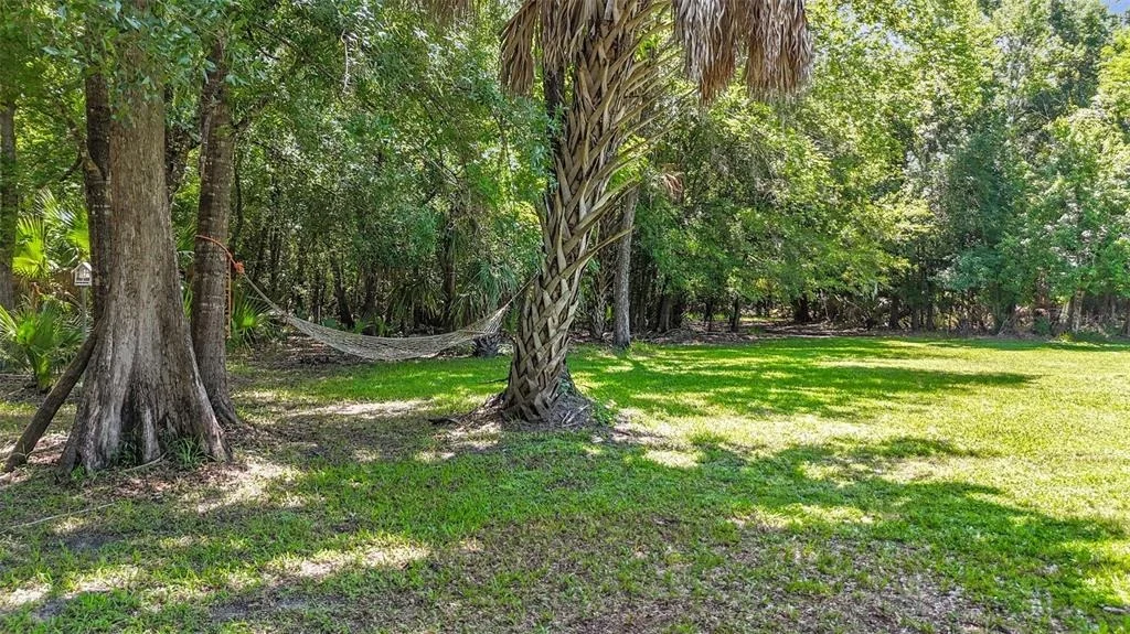 Photo of 273 GRIFFIN ROAD