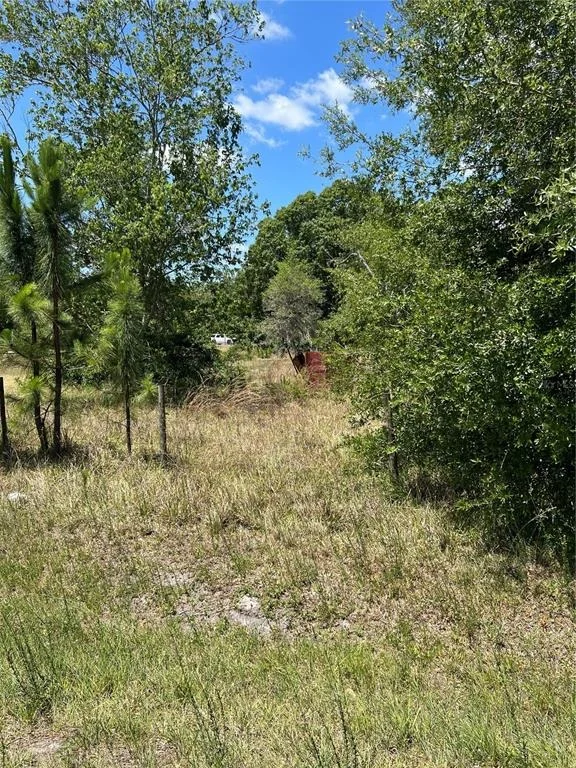 Photo of 2519 STATE ROAD 33