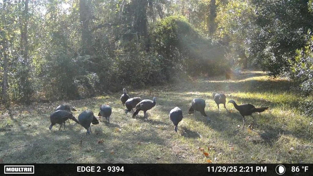 Photo of 11816 SE COUNTY ROAD 234