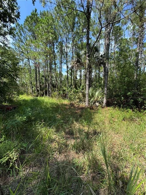 Photo of 4300 JUSTA ROAD