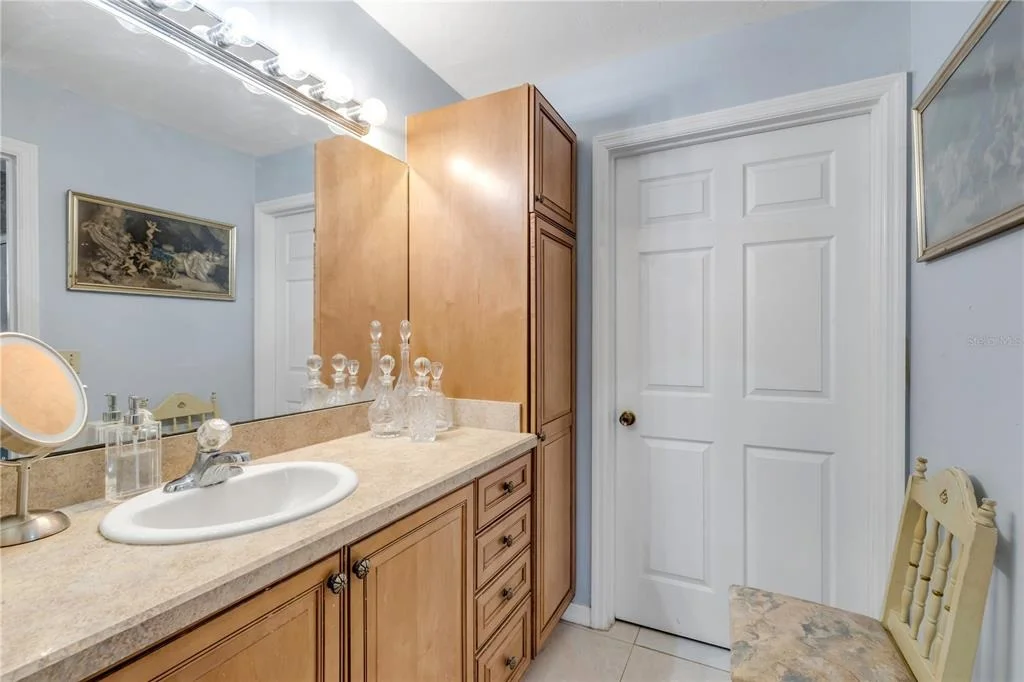 Photo of 1328 NEEDLE PALM DRIVE