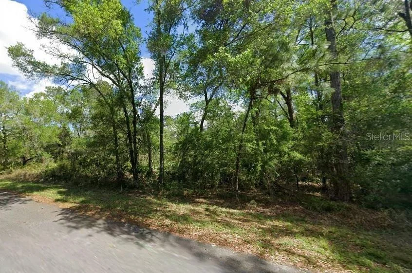 Photo of 11476 W COCKSCOMB DRIVE
