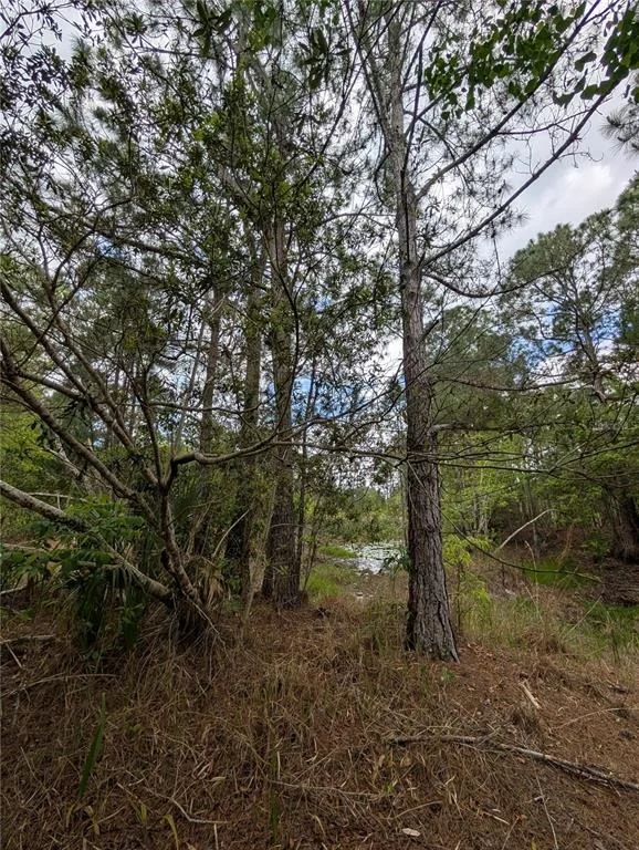 Photo of 38521 ILEX TRAIL