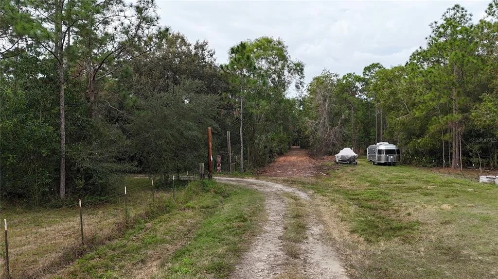 Photo of PANTERA LN