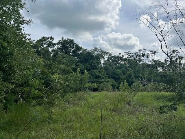 Photo of 3231 NE HWY 41