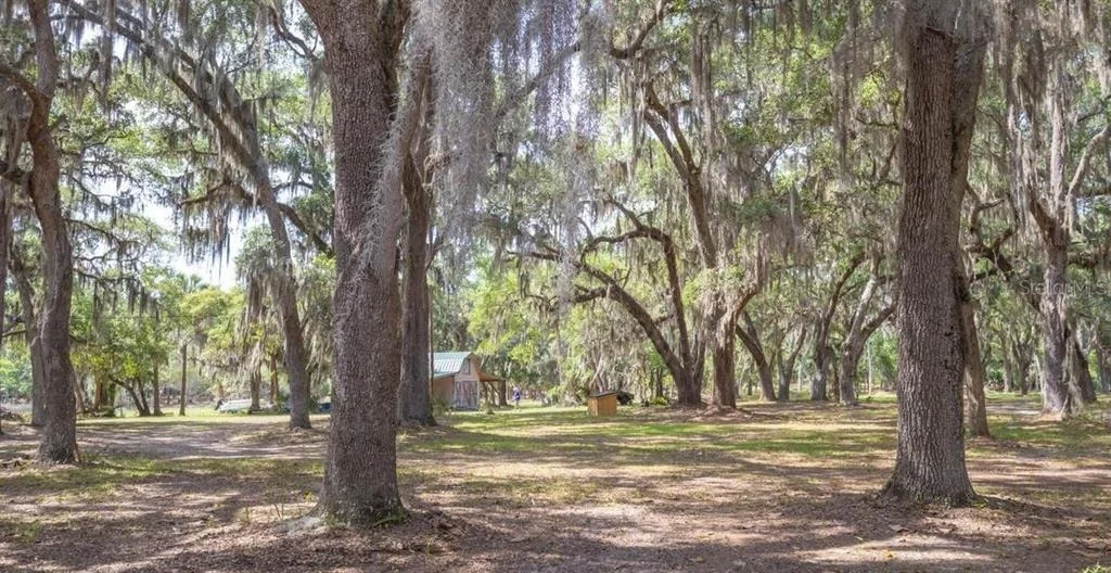 Photo of 7149 FITZPATRICK LANE