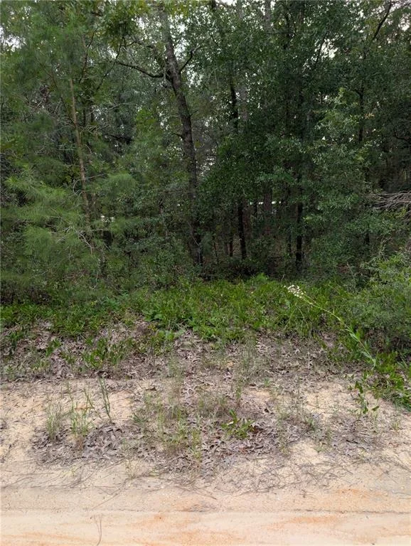 Photo of PINEWAY DRIVE
