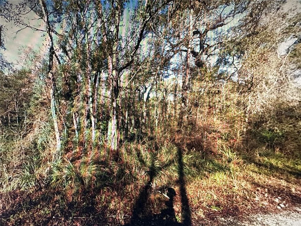Photo of TABLE ROCK DRIVE
