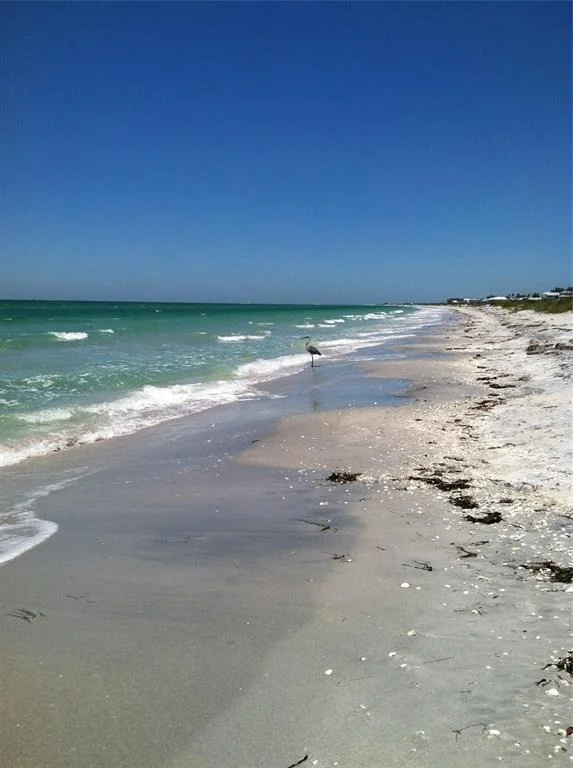 Photo of 7365 PALM ISLAND DRIVE