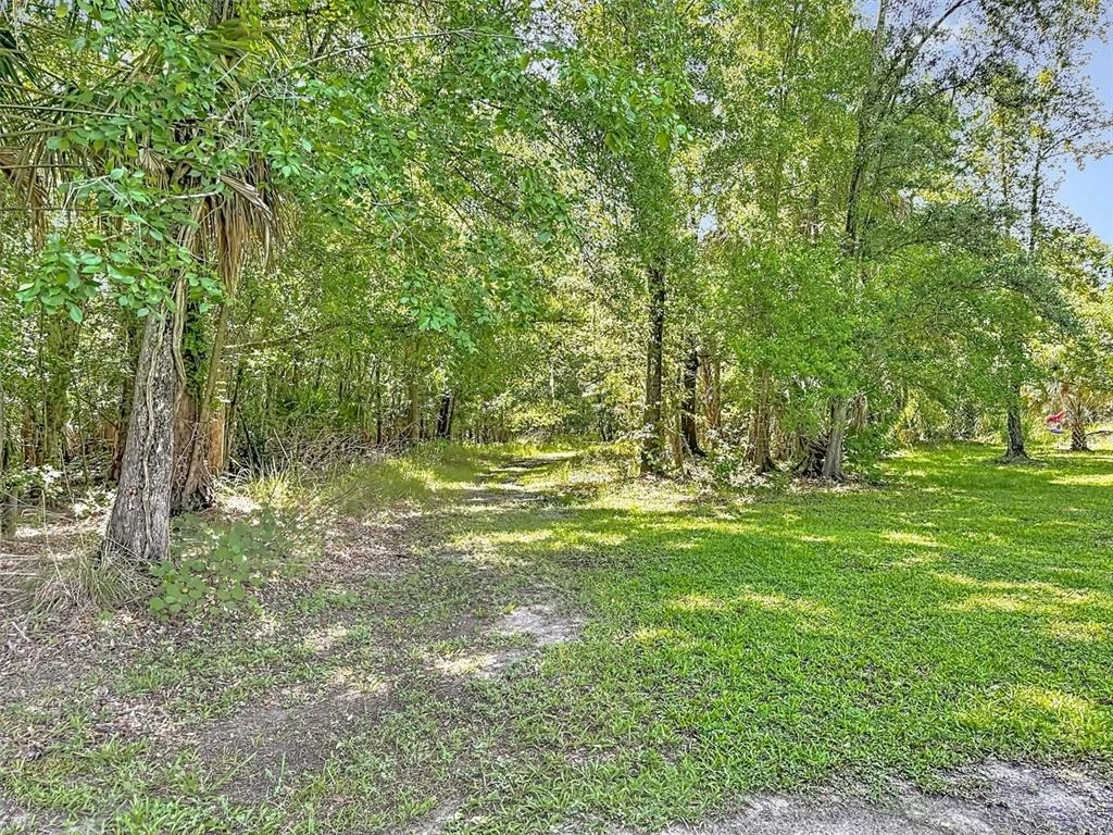 Photo of 273 GRIFFIN ROAD