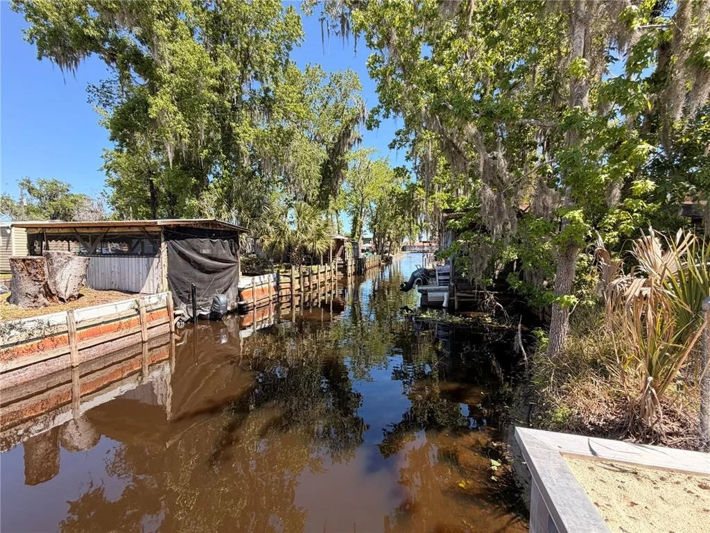Photo of 24521 ALLIGATOR ROAD