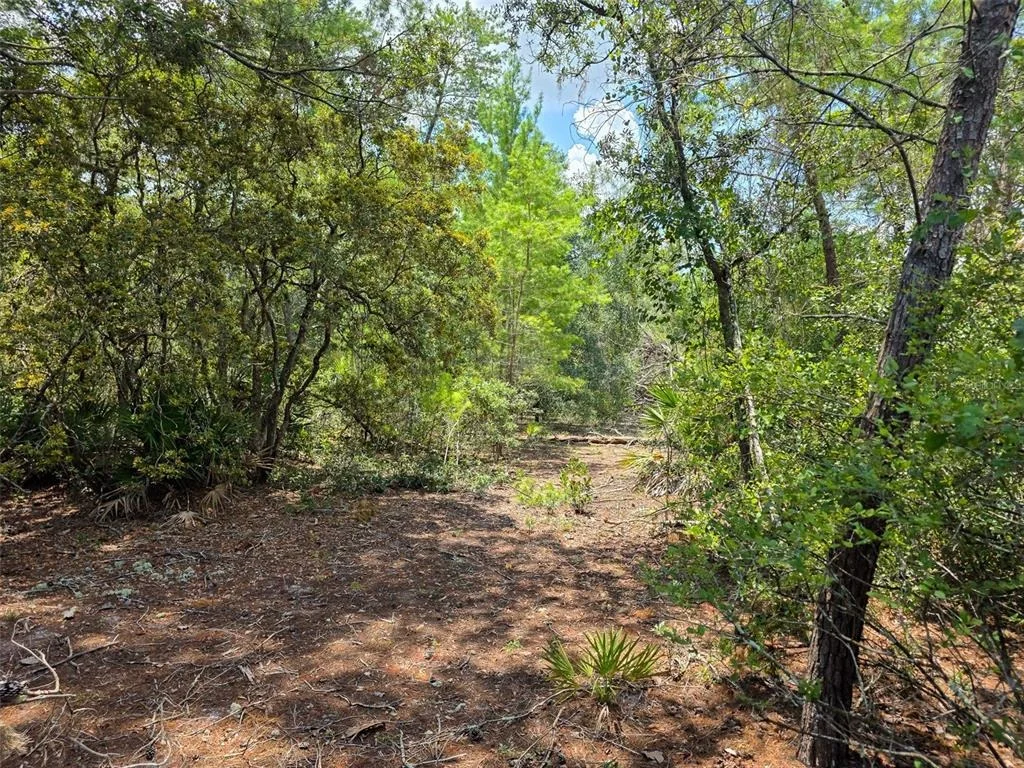Photo of 340 SAND PINE PLACE