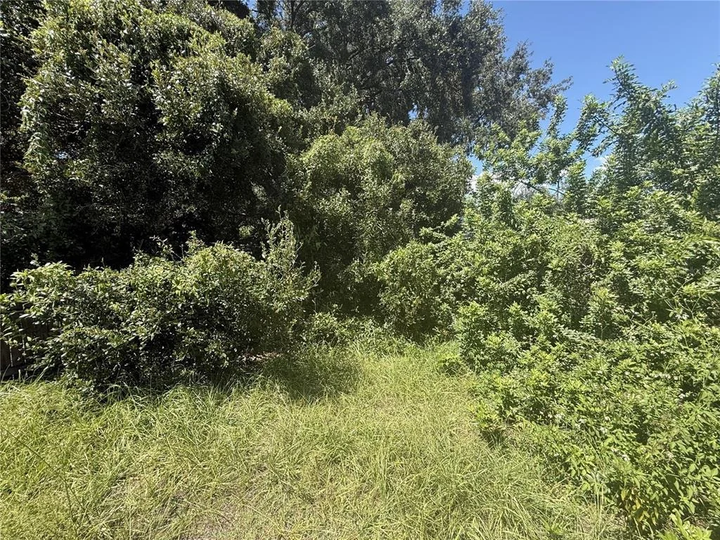 Photo of 3609 CASABA LOOP
