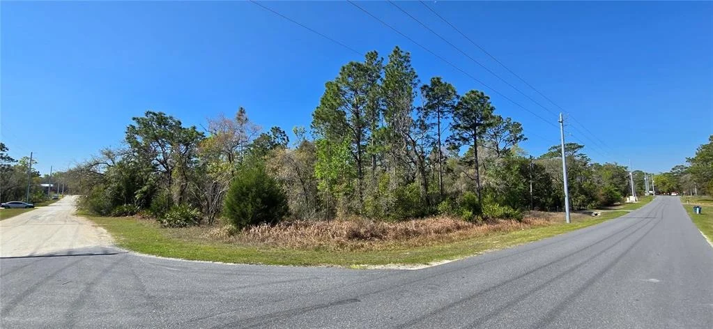 Photo of 12398 RUFFED GROUSE ROAD