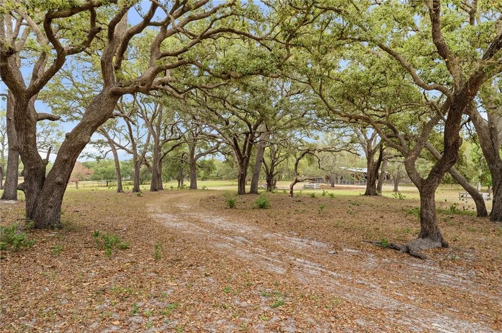 Photo of 14405 AMY LANE