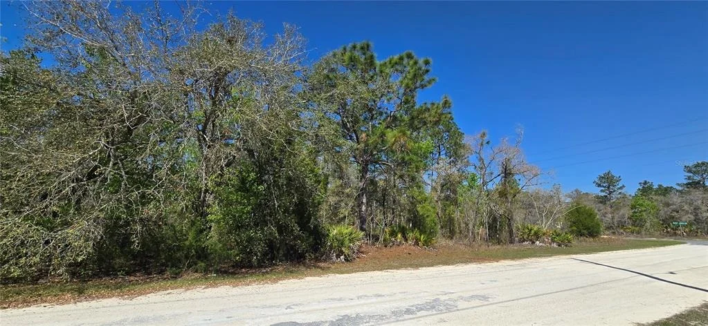 Photo of 12398 RUFFED GROUSE ROAD