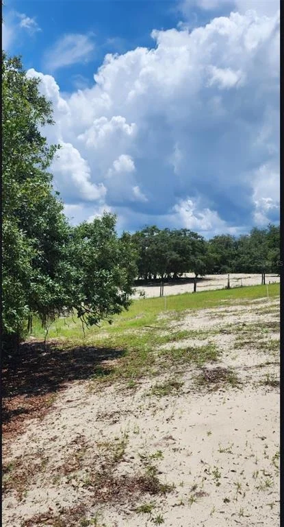 Photo of 562 LIBBY ROAD