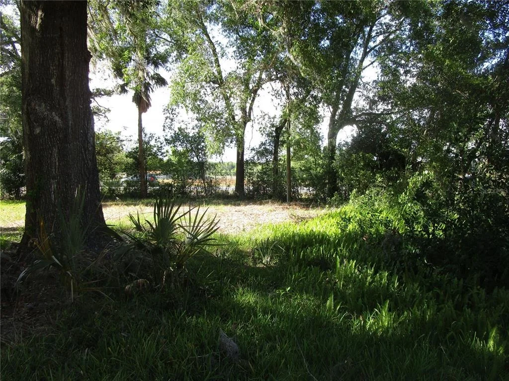 Photo of 20036 STATE ROAD 44