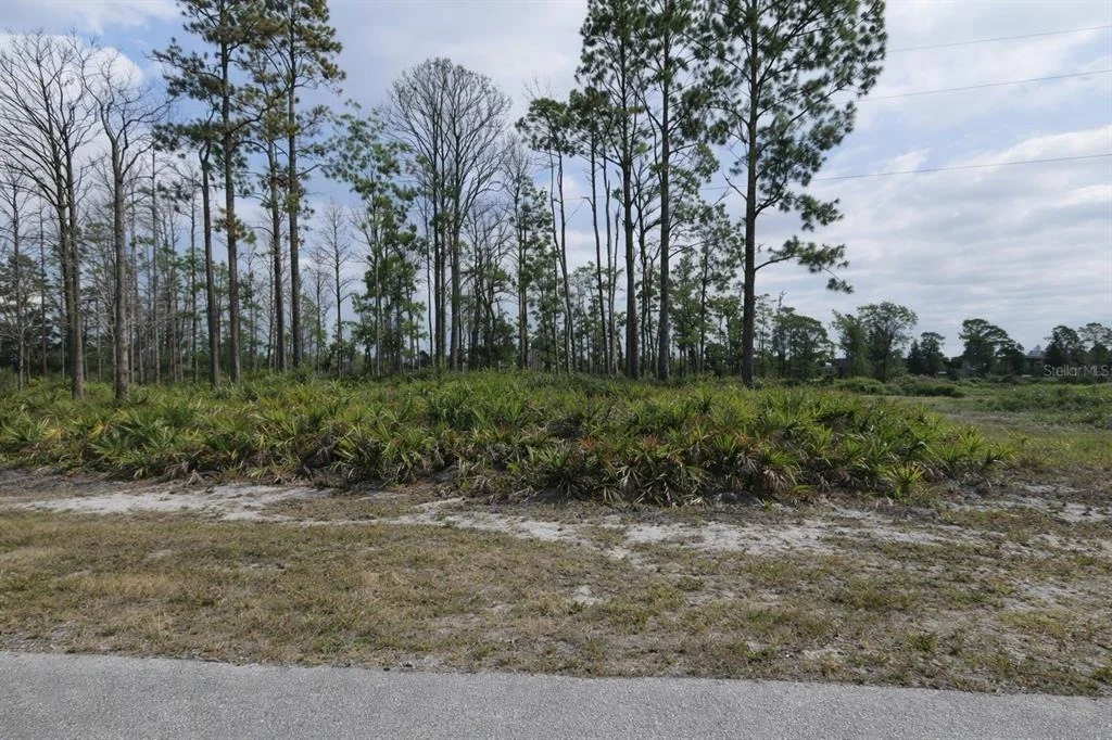 Photo of 8 MAST DRIVE
