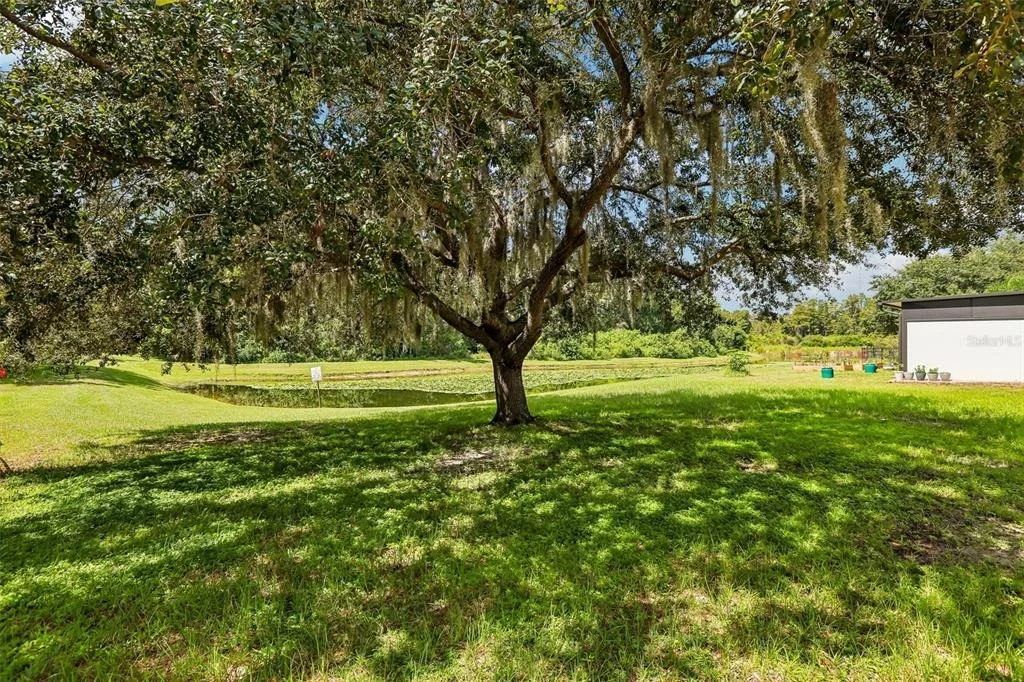 Photo of 5903 CAPE LOOP