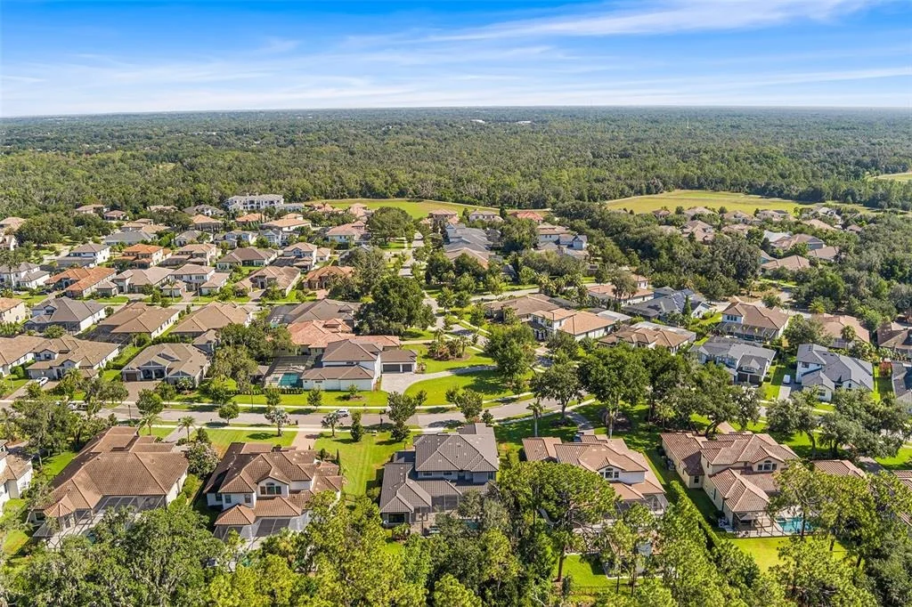Photo of 14704 FISHHAWK PRESERVE DRIVE