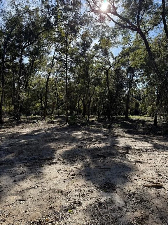 Photo of 7TH PLACE