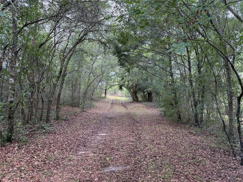 Photo of 9730 NE STATE ROAD 24