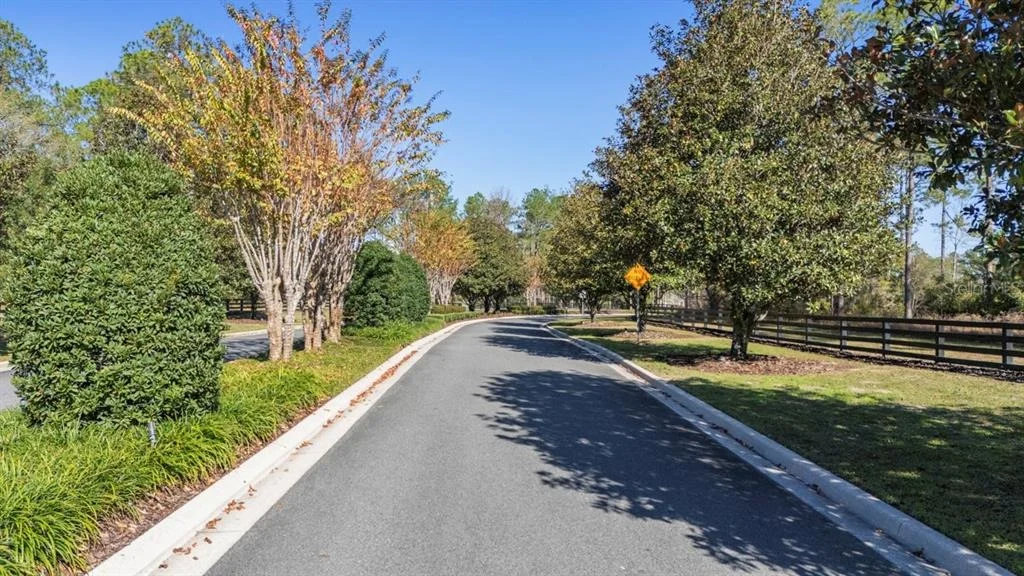 Photo of 24250 DEEP SPRINGS LOOP