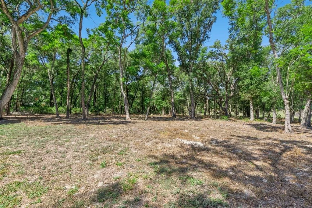 Photo of 3932 WHITE HERON DRIVE