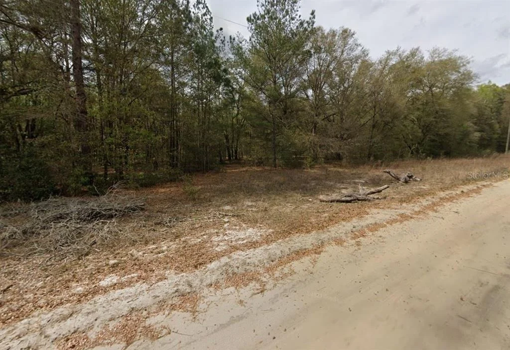 Photo of GUY AVENUE
