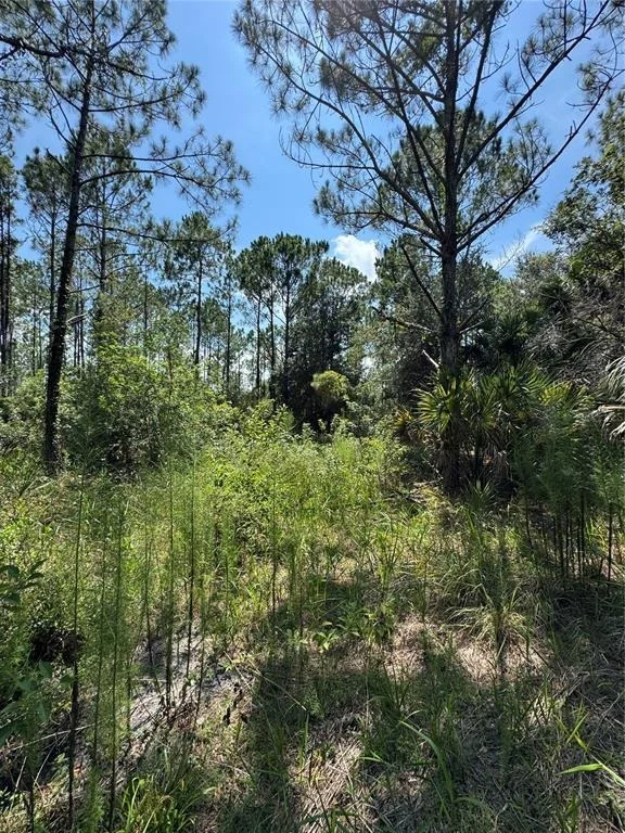 Photo of 4300 JUSTA ROAD