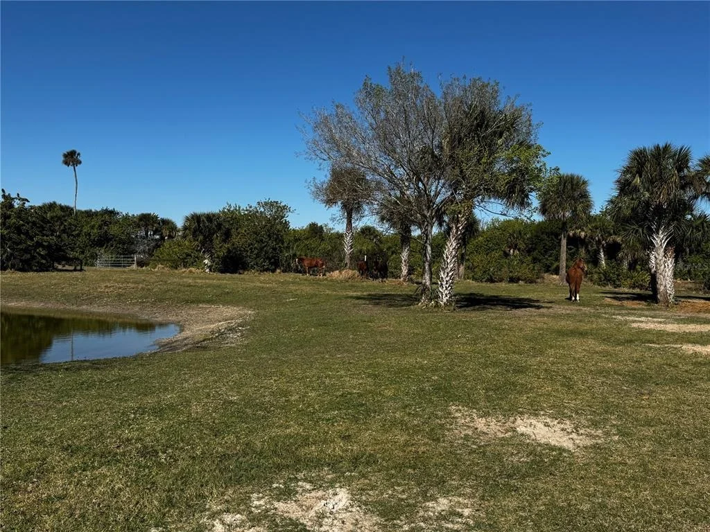Photo of 3100 GRANTLINE ROAD