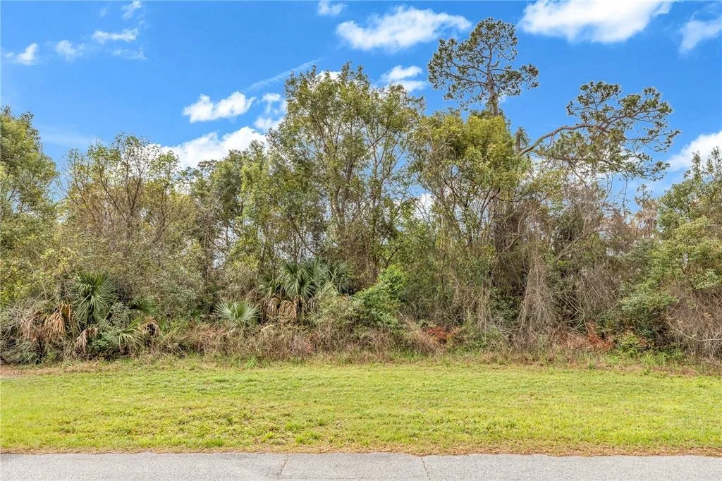 Photo of 205 PLUMOSA ROAD