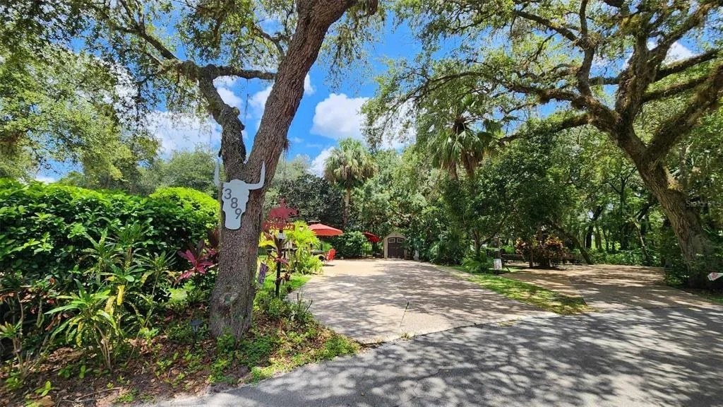 Photo of 389 LONGHORN DRIVE