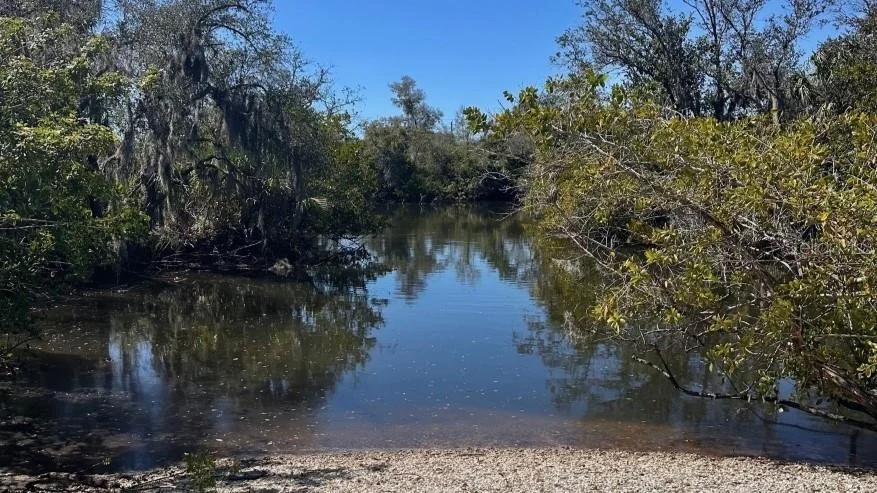 Photo of 9608 TURTLE GRASS CIRCLE