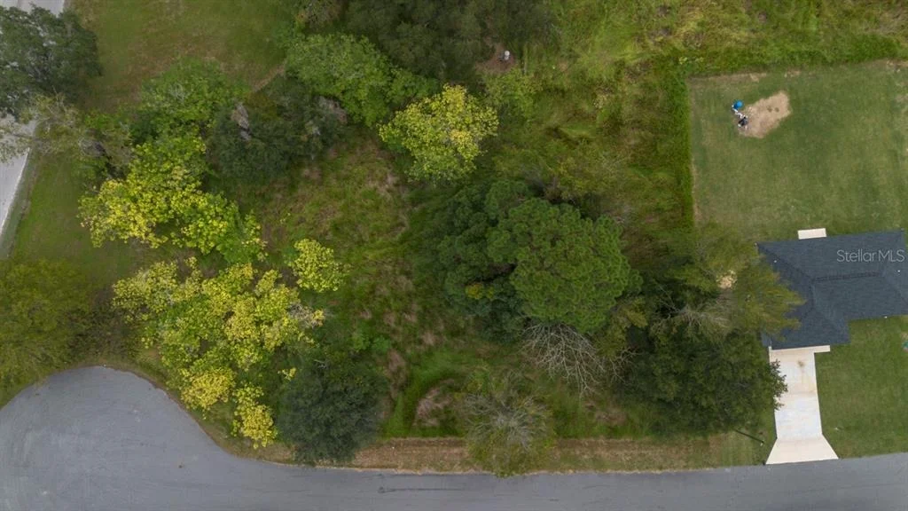Photo of LAUREL CT