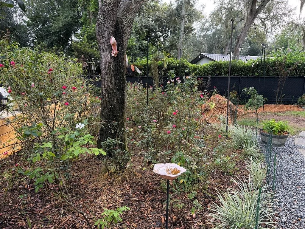 Photo of 52 PINE FOREST DRIVE