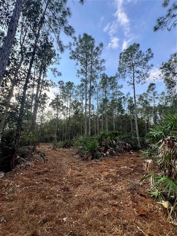 Photo of PANTERA LN