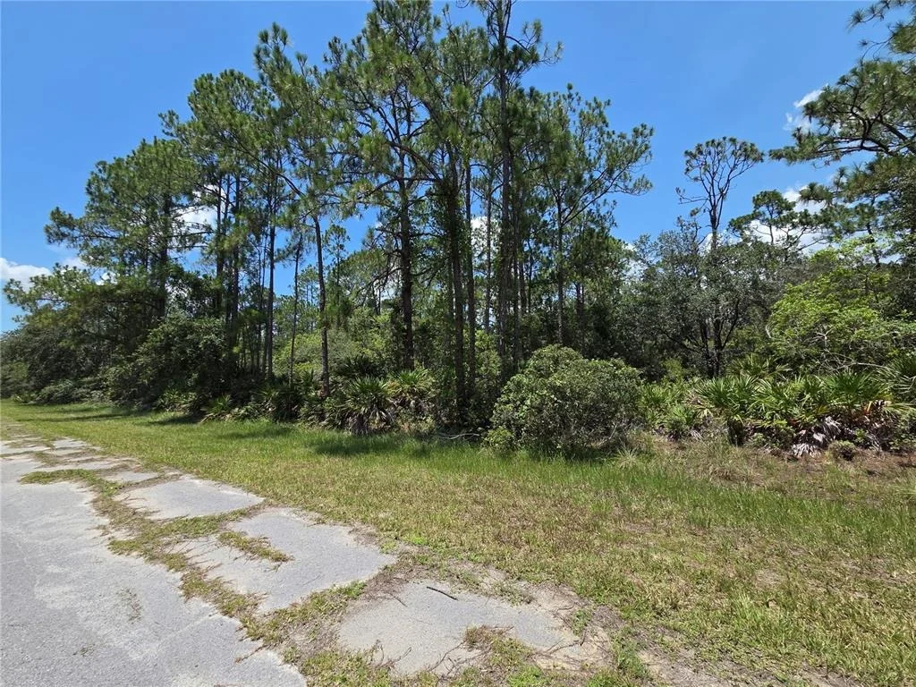 Photo of 0 ALLAMANDA DR