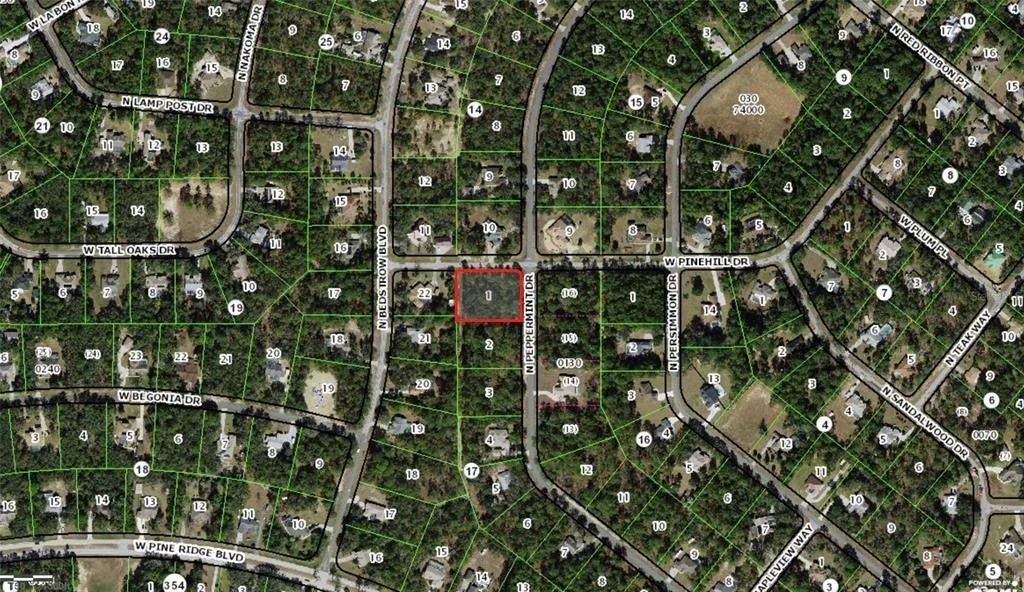 Photo of 5212 N PEPPERMINT DRIVE