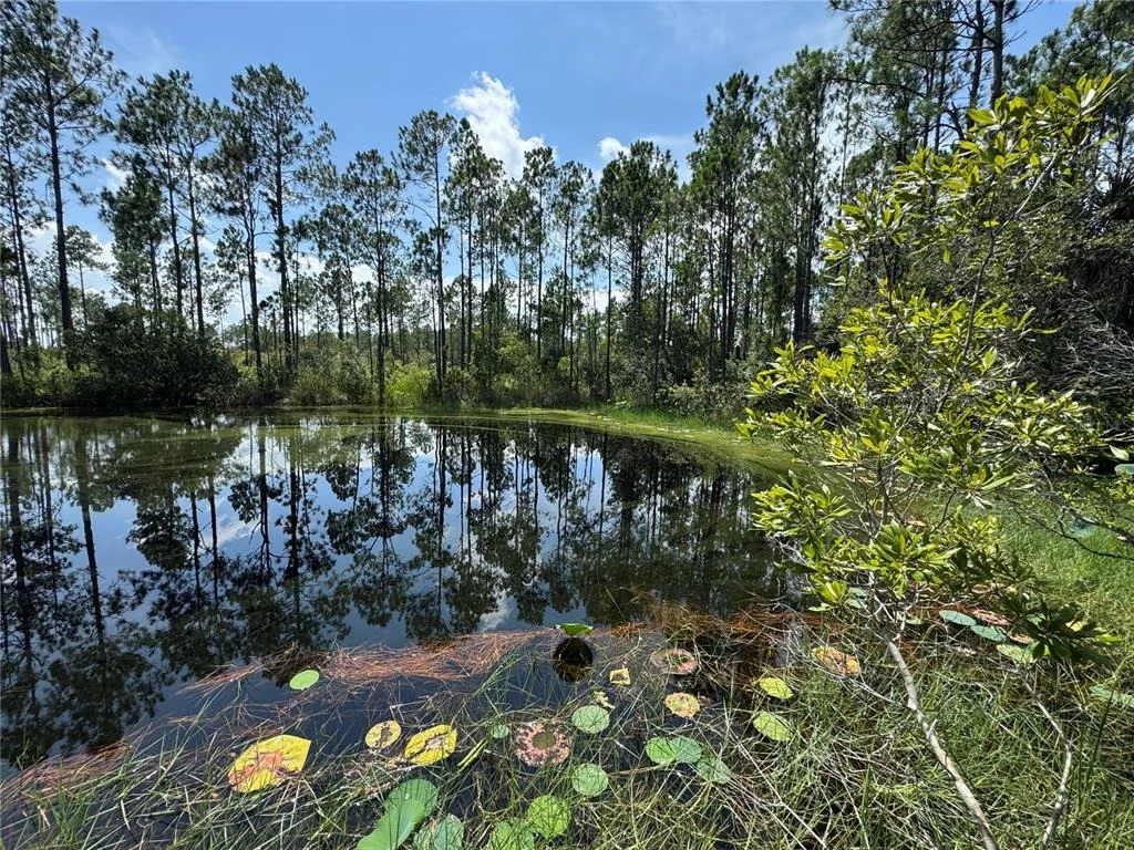 Photo of 4300 JUSTA ROAD