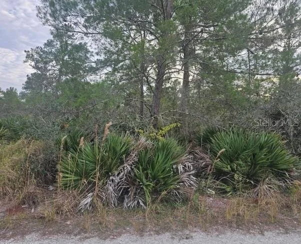 Photo of 2225 ALGONQUIN DRIVE